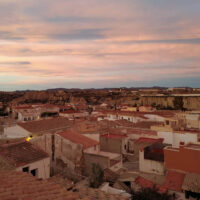 Antas 22 antas_0004