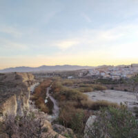 Antas 21 antas_0011