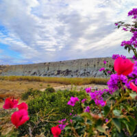 Antas 5 antas_0012