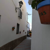 Antas 13 antas_0016