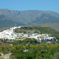 Experiencias PREMIUM EcoAventureras 40 abla