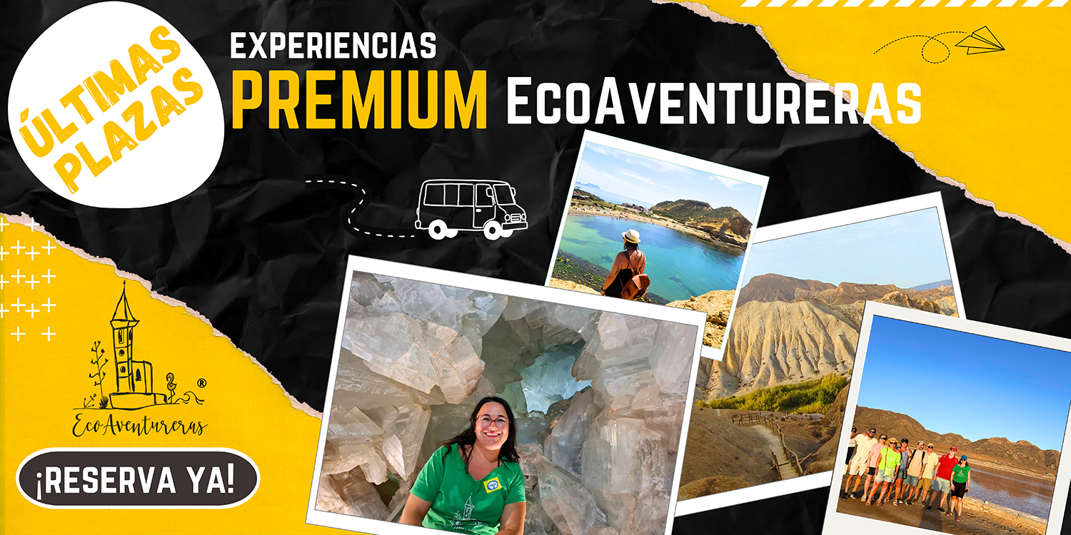 banner premium3