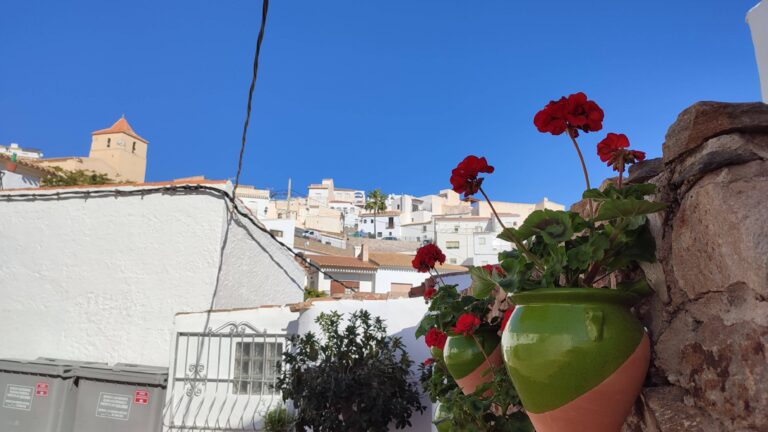 visita mojacar bedar almeria 17 768x432
